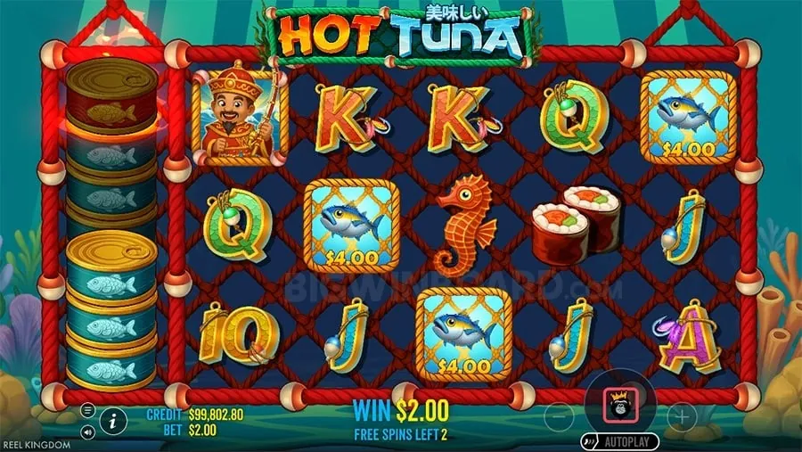 Beginner's Guide to Live Baccarat